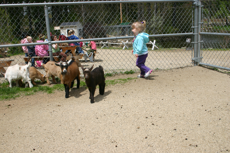 Picture 12002