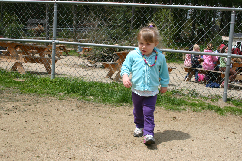 Picture 12006