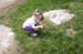 Picture 11884