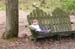 Picture 11901