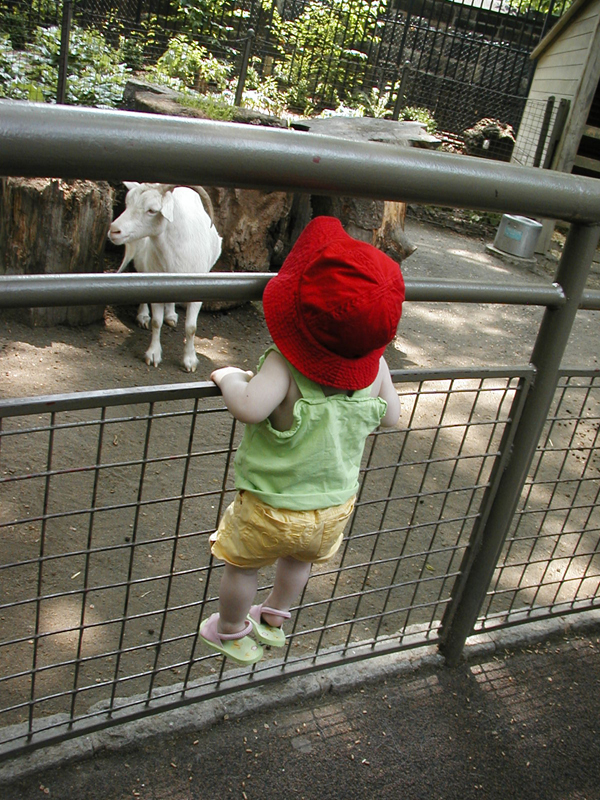 Picture 3007