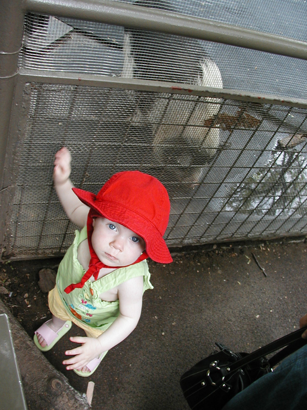 Picture 3011