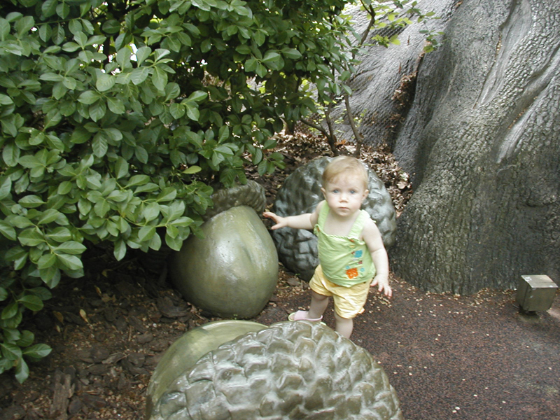 Picture 3043
