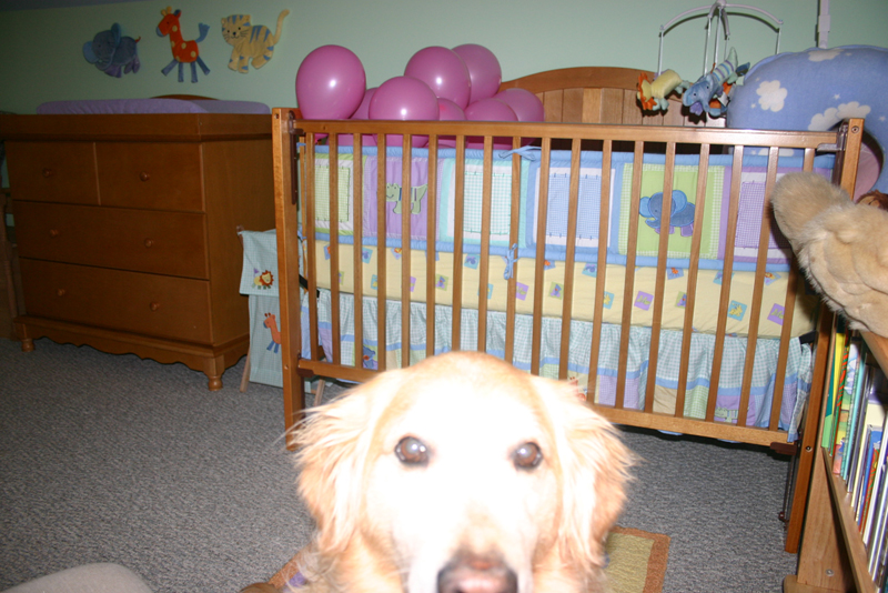 Picture 2826