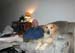 Picture 026