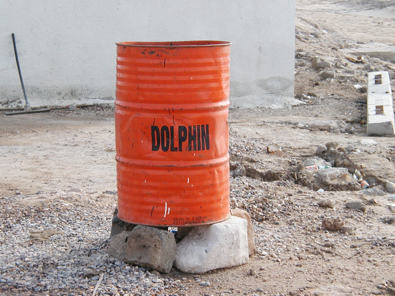Dolphin 1