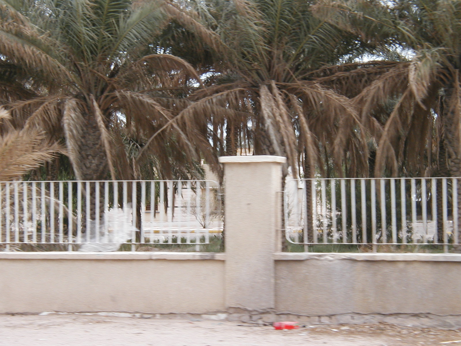 Cemetary 2