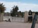 Cemetary 3