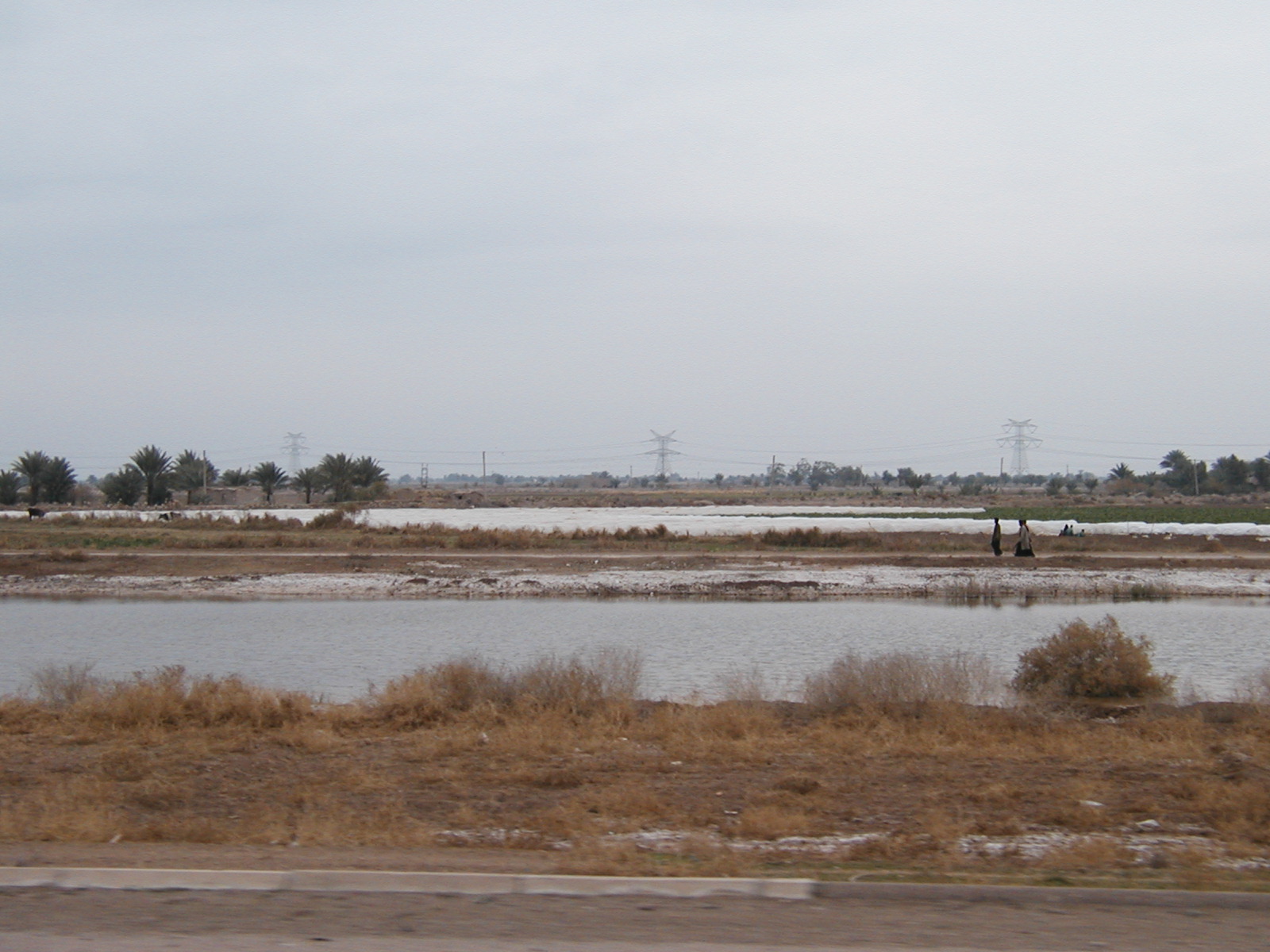 Field 1