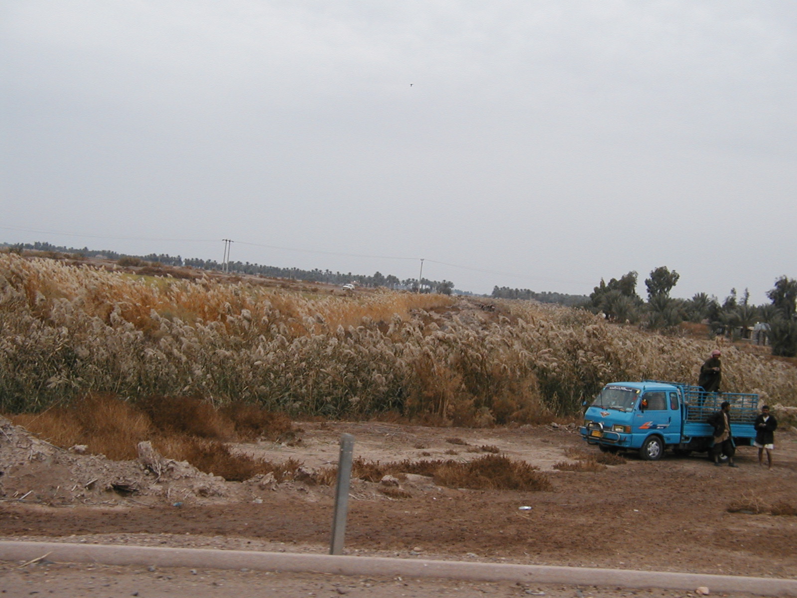 Harvest