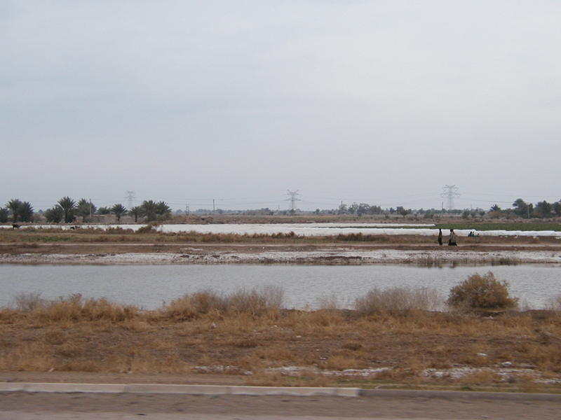 Field 1