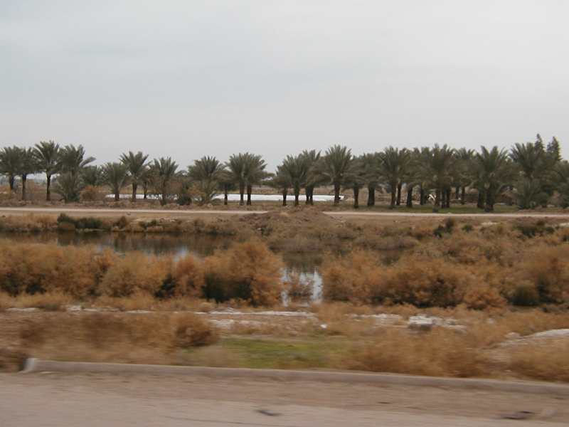 Field 3