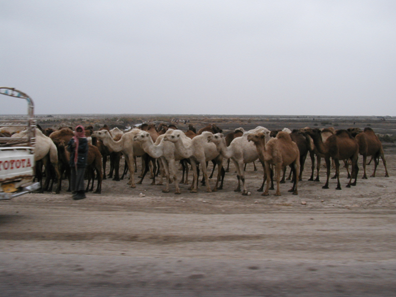 Rush Hour 4 (26 Dec)