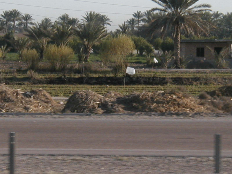 P3100090