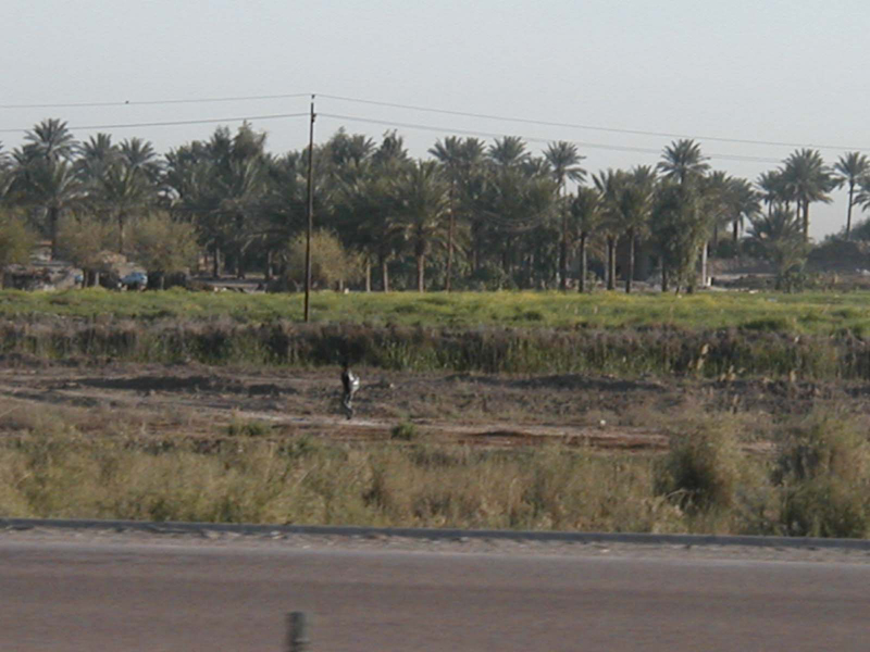 P3100091