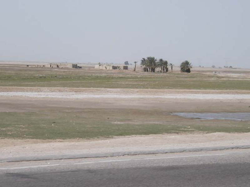 houses