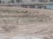 euphrates1