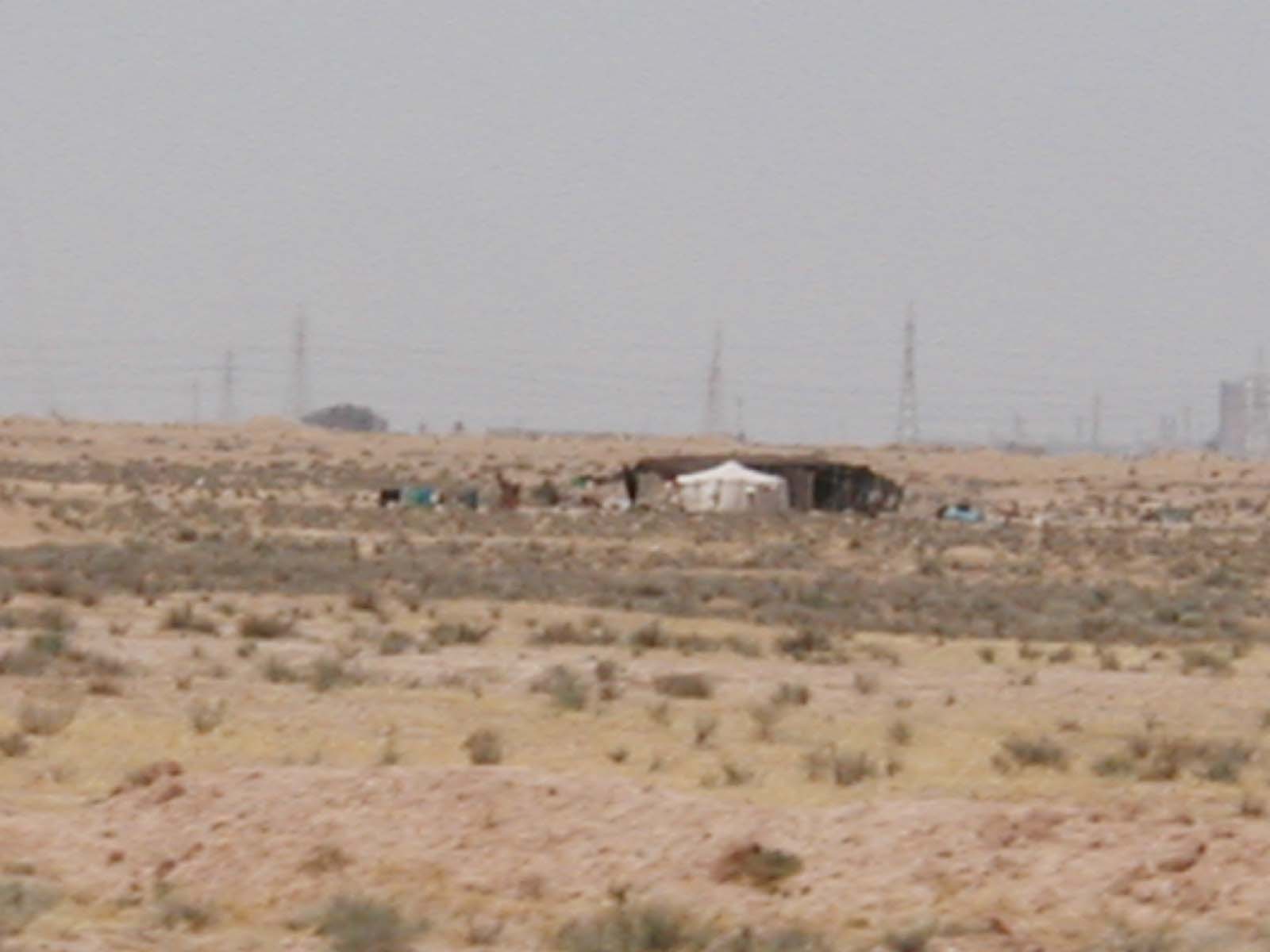 tent2.jpg