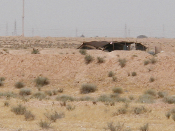 tent1.jpg