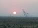 sunrise7.jpg