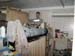 HAzen_Bunk