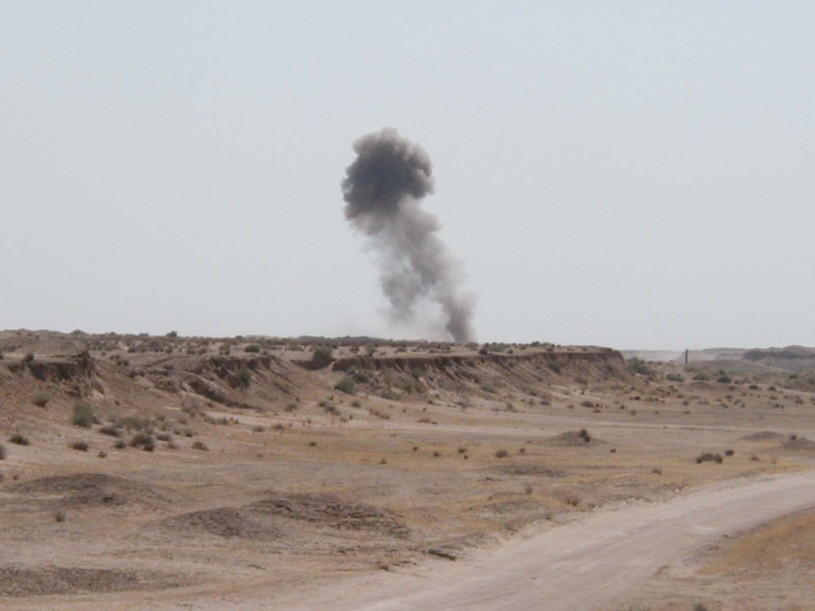 EOD1