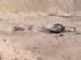 Grand Canyon1