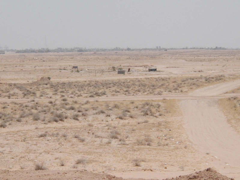 Oasis1