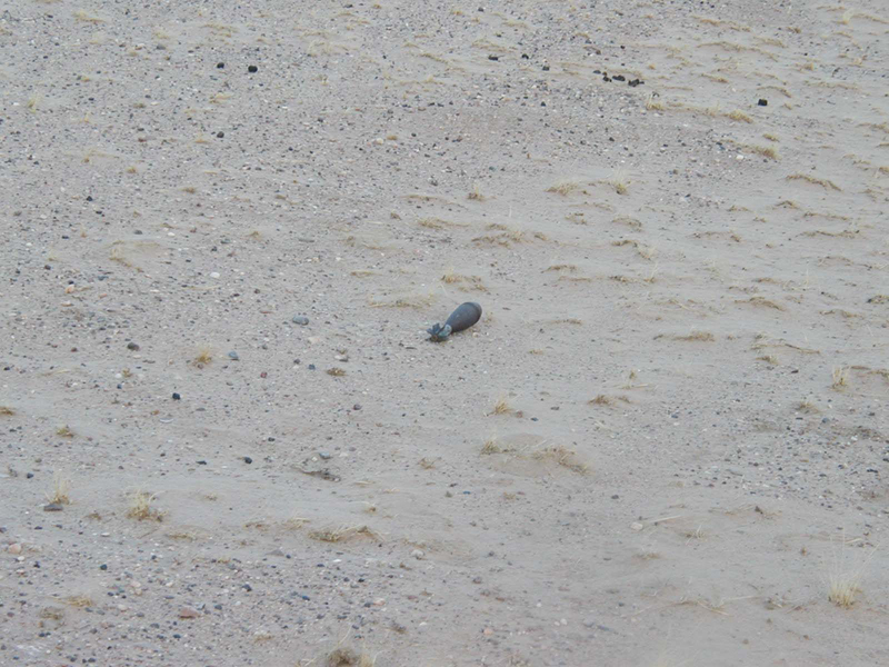 UXO6