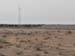 Camels1