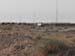 Camels5