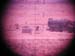 Oasis3