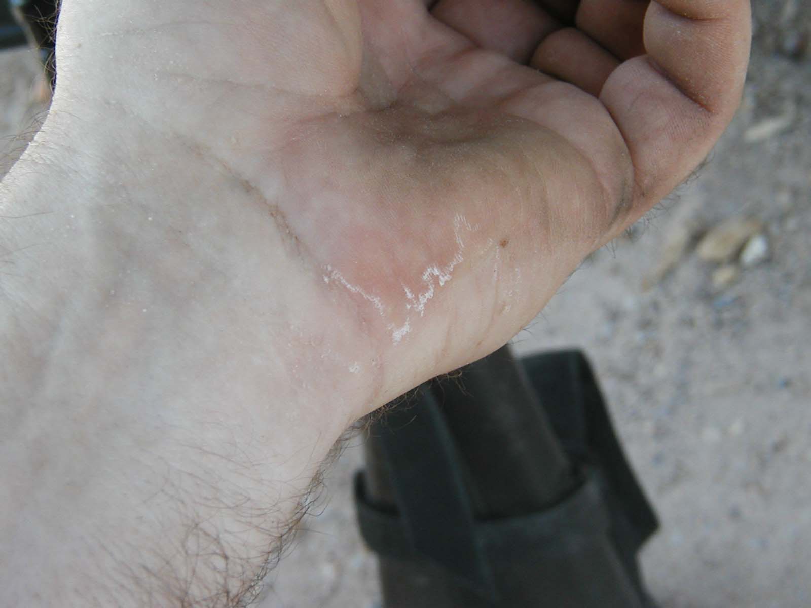 Salt1