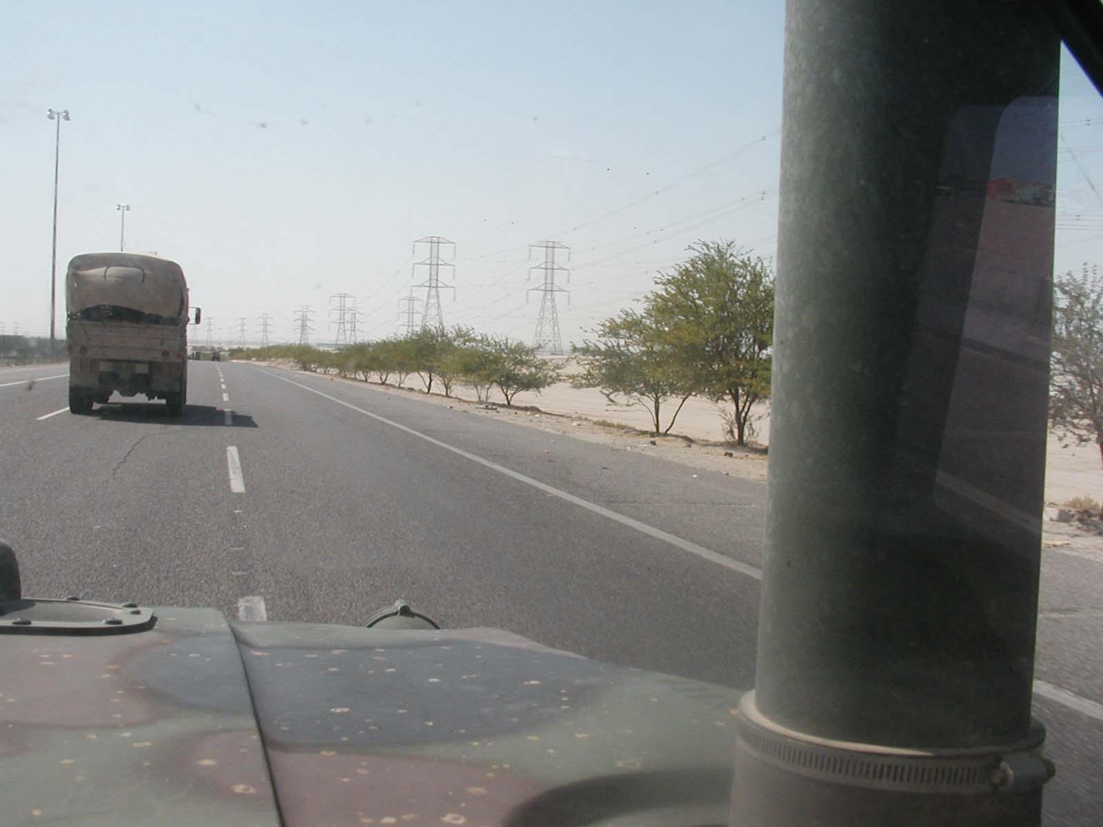 Roadside trees