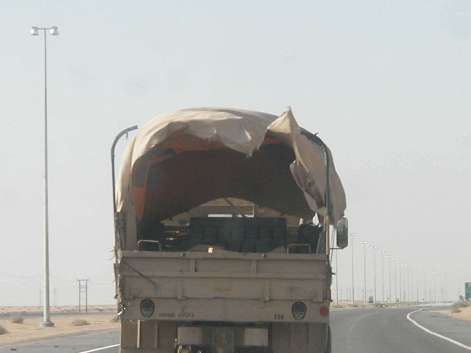Tarp7
