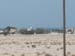 Gulf2