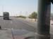 Roadside trees
