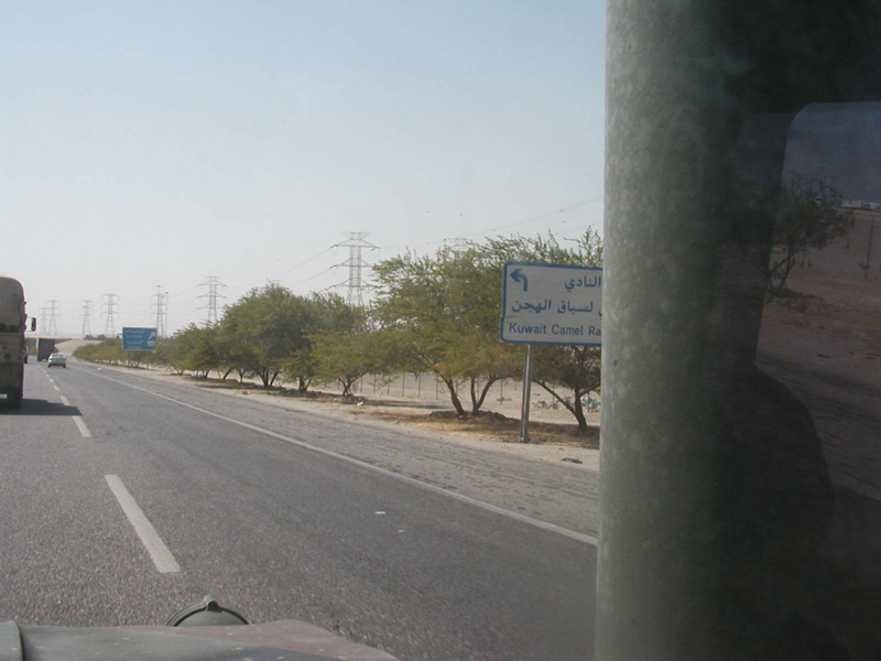 Camel racing club