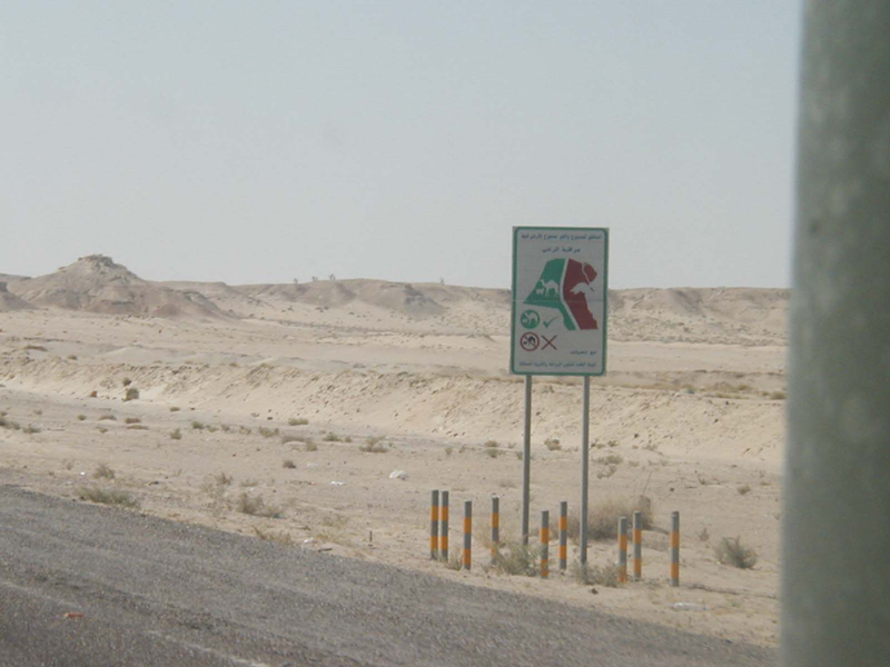 Camels