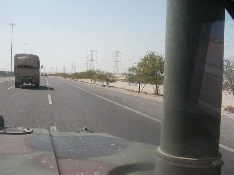 Roadside trees
