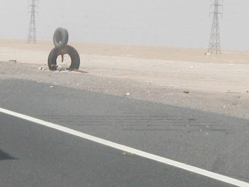 Tire art