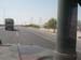 Roadside trees