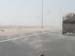 Sandy1