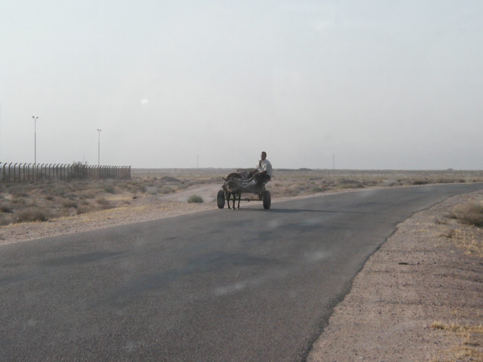 Donkey cart