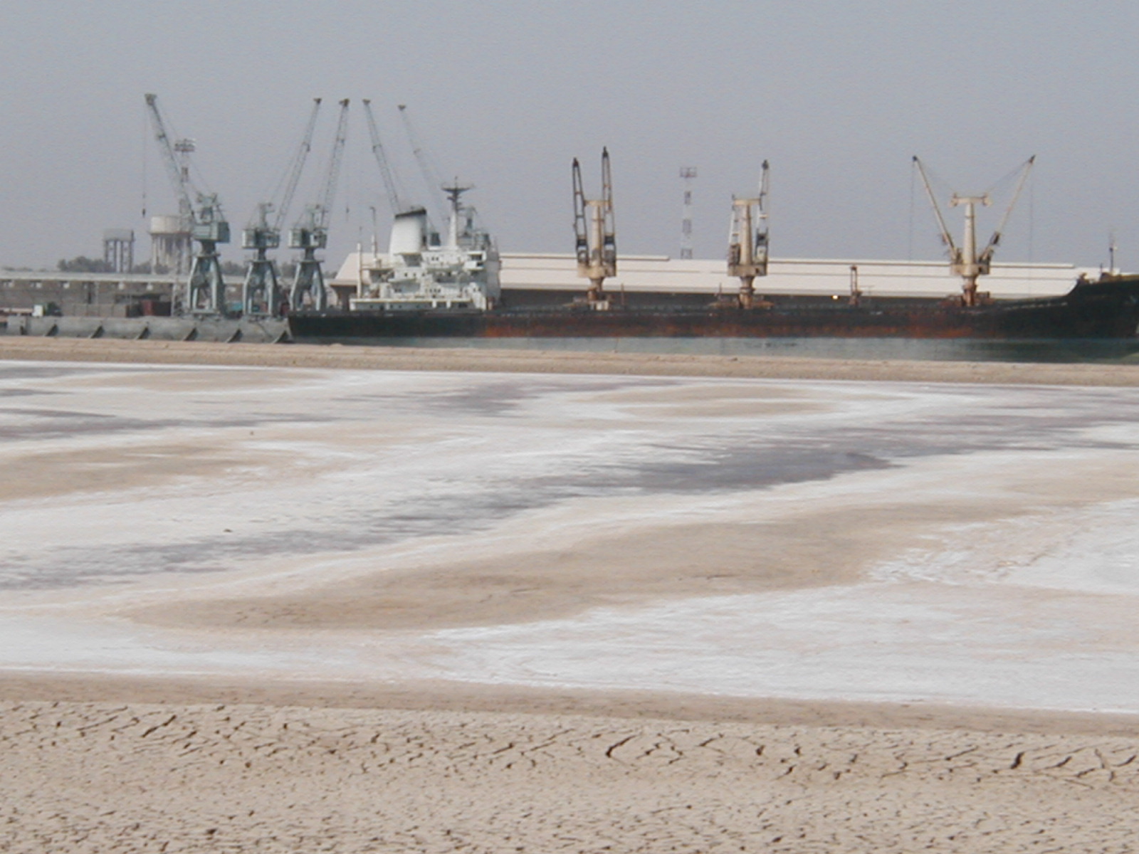 Port15