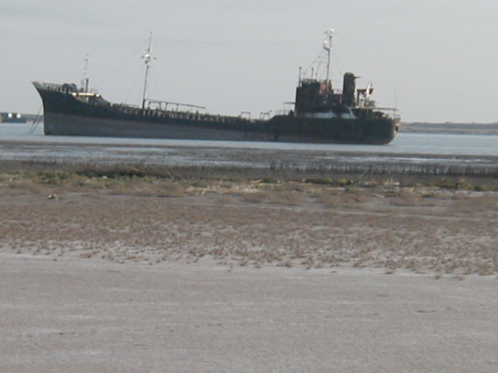 Ship16