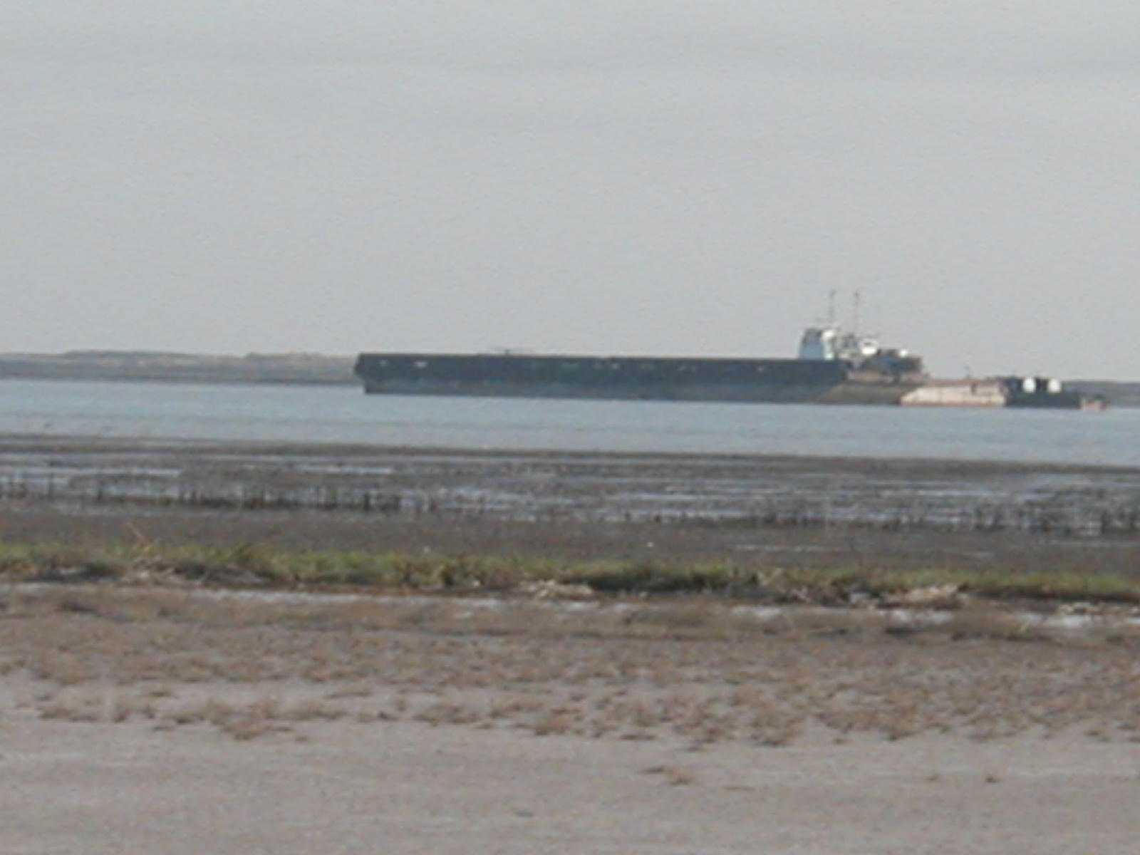 Ship19