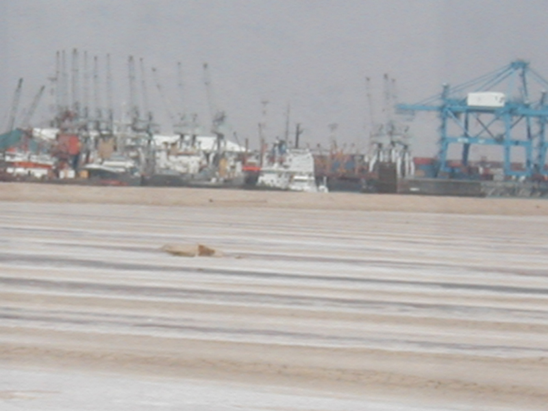 Port18