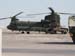 Chinook2