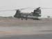 Chinook3